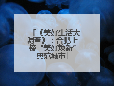 《美好生活大调查》：合肥上榜“美好焕新”典范城市