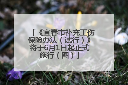 《宜春市补充工伤保险办法（试行）》将于6月1日起正式施行（图）