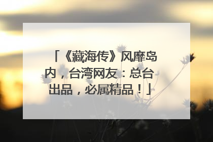 《藏海传》风靡岛内，台湾网友：总台出品，必属精品！
