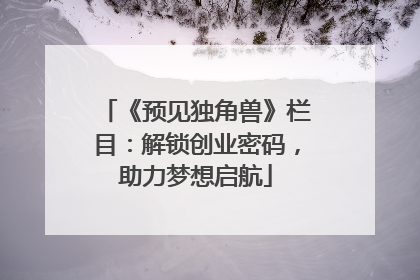 《预见独角兽》栏目：解锁创业密码，助力梦想启航