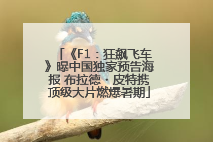 《F1：狂飙飞车》曝中国独家预告海报 布拉德・皮特携顶级大片燃爆暑期