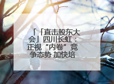 「直击股东大会」四川长虹：正视“内卷”竞争态势 加快培育发展新动能