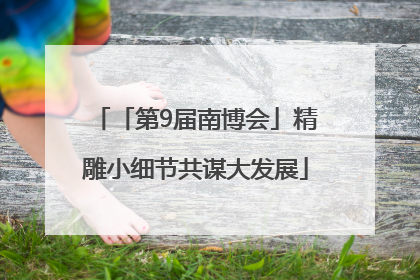 「第9届南博会」精雕小细节共谋大发展