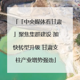 「中央媒体看甘肃」聚焦集群建设 加快转型升级 甘肃支柱产业增势强劲