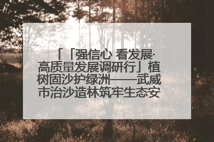 「强信心 看发展·高质量发展调研行」植树固沙护绿洲——武威市治沙造林筑牢生态安全屏障见闻