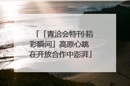 「青洽会特刊·精彩瞬间」高原心跳 在开放合作中澎湃
