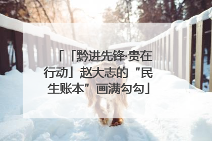 「黔进先锋·贵在行动」赵大志的“民生账本”画满勾勾