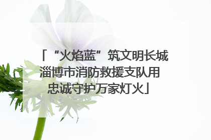 “火焰蓝”筑文明长城 淄博市消防救援支队用忠诚守护万家灯火