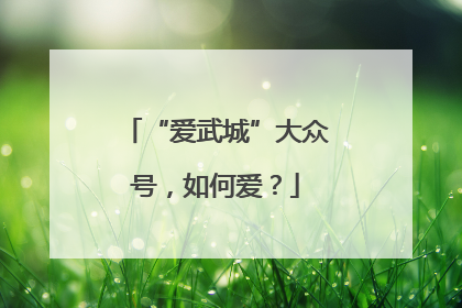 “爱武城”大众号，如何爱？