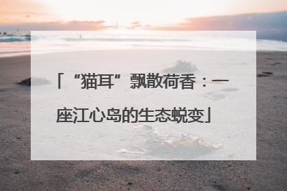 “猫耳”飘散荷香：一座江心岛的生态蜕变
