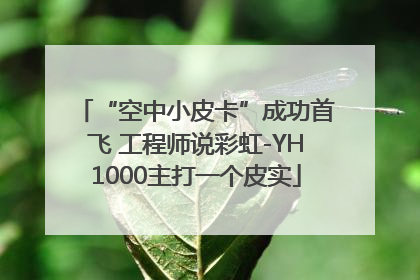 “空中小皮卡”成功首飞 工程师说彩虹-YH1000主打一个皮实