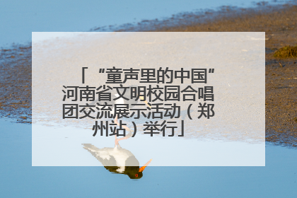 “童声里的中国”河南省文明校园合唱团交流展示活动（郑州站）举行