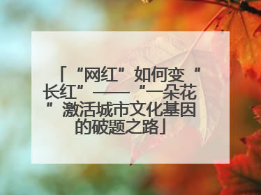 “网红”如何变“长红”——“一朵花”激活城市文化基因的破题之路