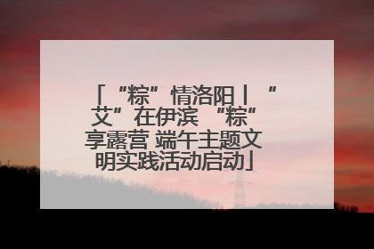 “粽”情洛阳丨“艾”在伊滨 “粽”享露营 端午主题文明实践活动启动