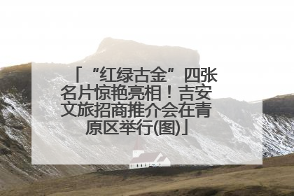 “红绿古金”四张名片惊艳亮相！吉安文旅招商推介会在青原区举行(图)
