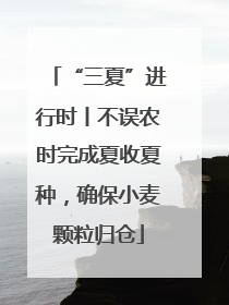 “三夏”进行时丨不误农时完成夏收夏种，确保小麦颗粒归仓