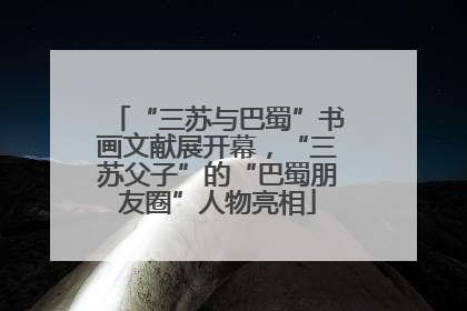 “三苏与巴蜀”书画文献展开幕，“三苏父子”的“巴蜀朋友圈”人物亮相