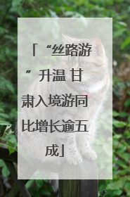 “丝路游”升温 甘肃入境游同比增长逾五成