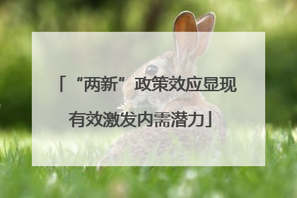 “两新”政策效应显现 有效激发内需潜力