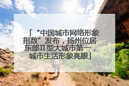 “中国城市网络形象指数”发布，扬州位居东部Ⅱ型大城市第一，城市生活形象亮眼