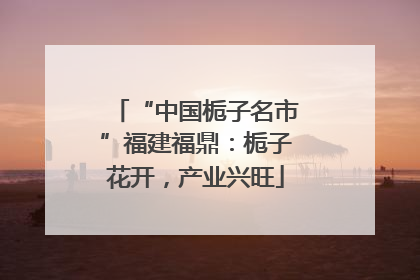 “中国栀子名市”福建福鼎：栀子花开，产业兴旺