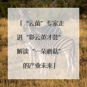 “云菌”专家走进“彩云英才荟”解读“一朵蘑菇”的产业未来