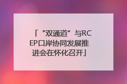 “双通道”与RCEP口岸协同发展推进会在怀化召开