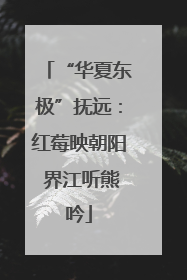 “华夏东极”抚远：红莓映朝阳 界江听熊吟
