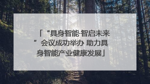 “具身智能·智启未来”会议成功举办 助力具身智能产业健康发展