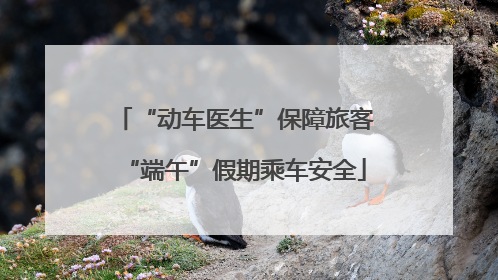 “动车医生”保障旅客“端午”假期乘车安全