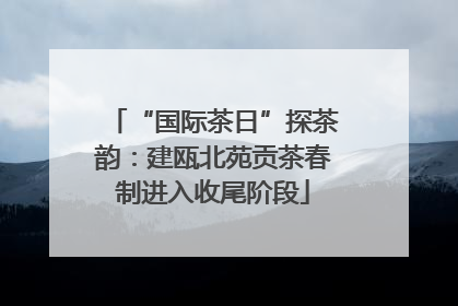 “国际茶日”探茶韵：建瓯北苑贡茶春制进入收尾阶段