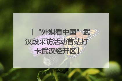 “外媒看中国”武汉段采访活动首站打卡武汉经开区
