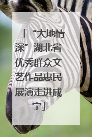 “大地情深”湖北省优秀群众文艺作品惠民展演走进咸宁