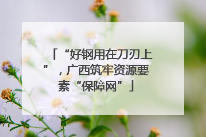 “好钢用在刀刃上”，广西筑牢资源要素“保障网”