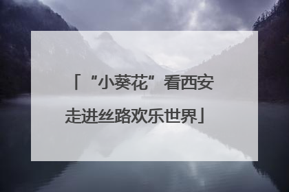 “小葵花”看西安走进丝路欢乐世界