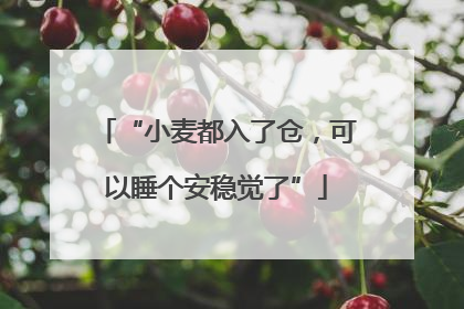 “小麦都入了仓，可以睡个安稳觉了”
