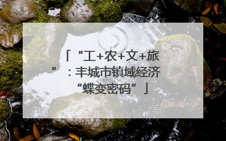 “工+农+文+旅”：丰城市镇域经济“蝶变密码”