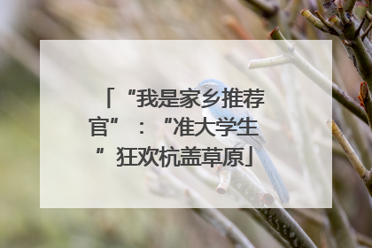 “我是家乡推荐官”：“准大学生”狂欢杭盖草原