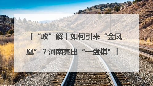 “政”解丨如何引来“金凤凰”？河南亮出“一盘棋”