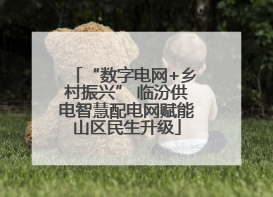 “数字电网+乡村振兴” 临汾供电智慧配电网赋能山区民生升级