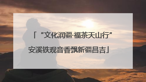 “文化润疆·福茶天山行”安溪铁观音香飘新疆昌吉