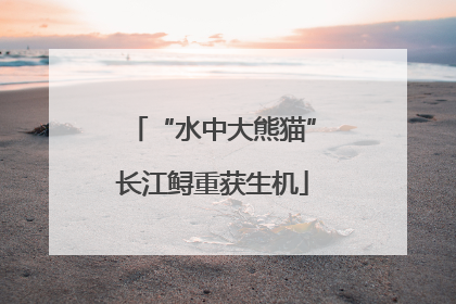 “水中大熊猫”长江鲟重获生机