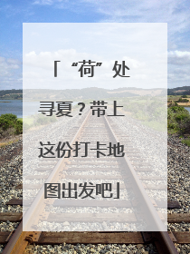 “荷”处寻夏？带上这份打卡地图出发吧