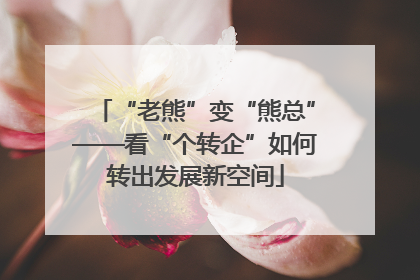 “老熊”变“熊总”——看“个转企”如何转出发展新空间