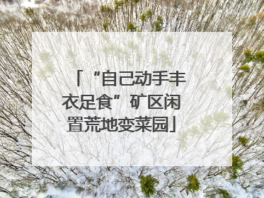 “自己动手丰衣足食”矿区闲置荒地变菜园