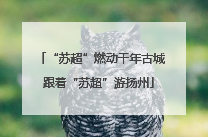 “苏超”燃动千年古城 跟着“苏超”游扬州