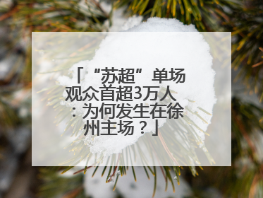 “苏超”单场观众首超3万人：为何发生在徐州主场？