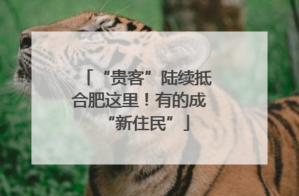 “贵客”陆续抵合肥这里！有的成“新住民”