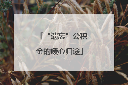 “遗忘”公积金的暖心归途