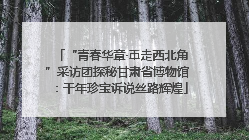 “青春华章·重走西北角”采访团探秘甘肃省博物馆：千年珍宝诉说丝路辉煌